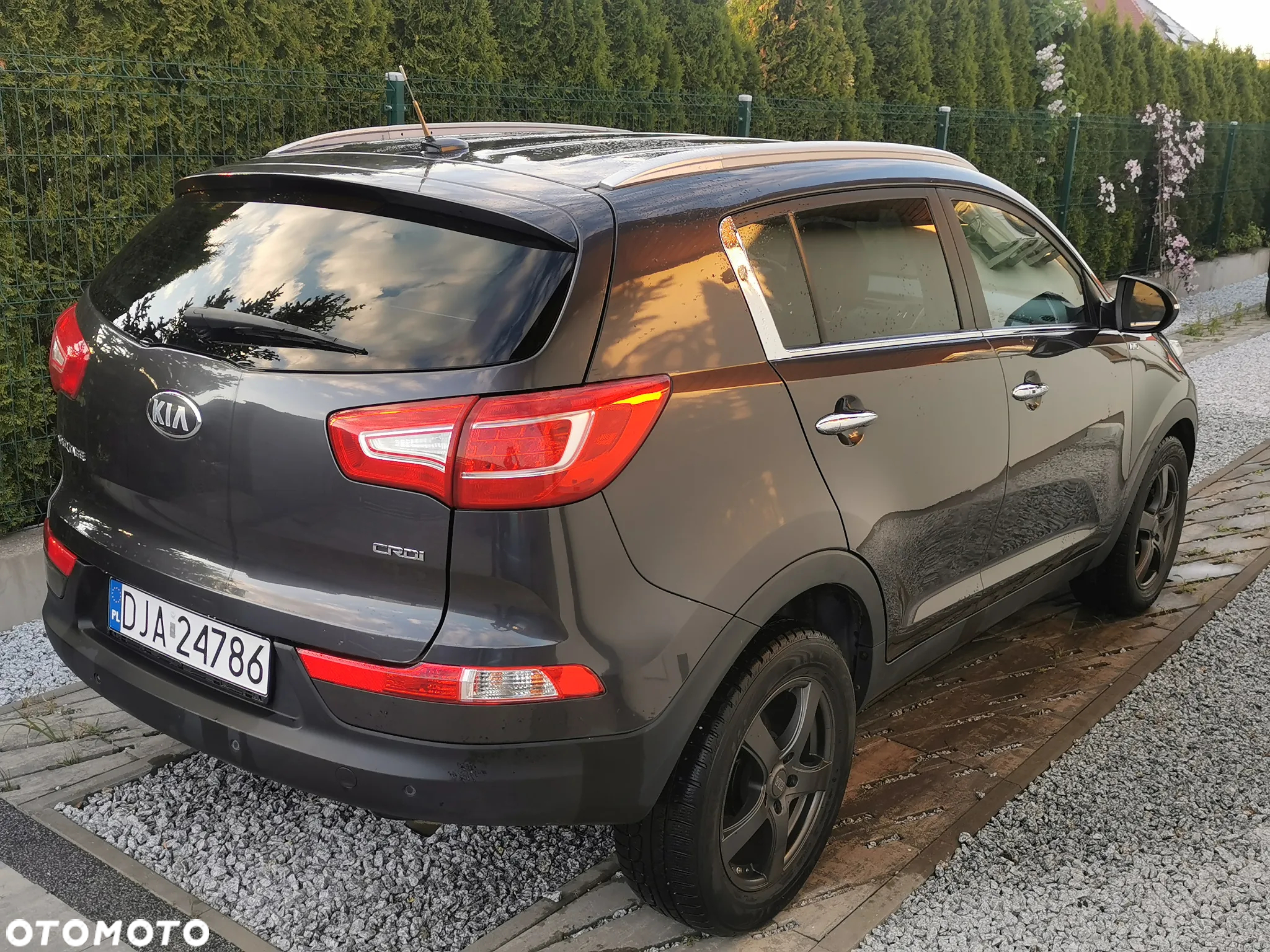 Kia Sportage - 4