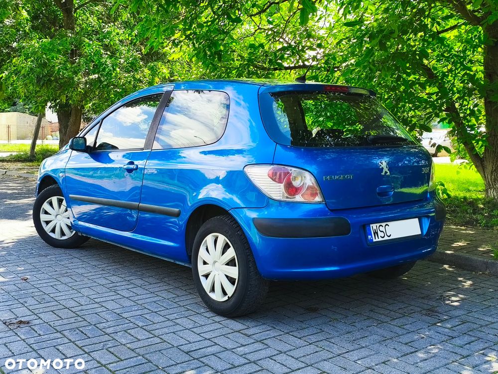 Peugeot 307 1.6 XS - 6