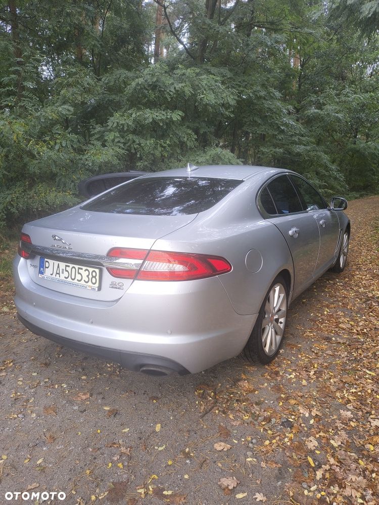 Jaguar XF - 5
