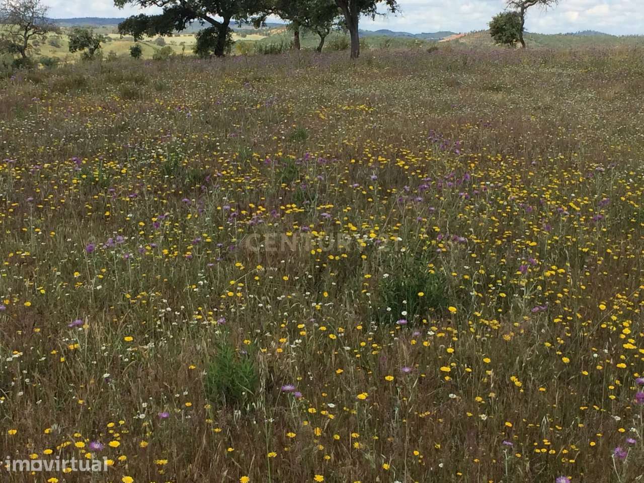 Quinta para Recuperação em São Martinho das Amoreiras, Odemira - Grande imagem: 3/28