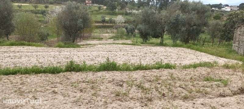 Terreno para venda - Grande imagem: 3/7