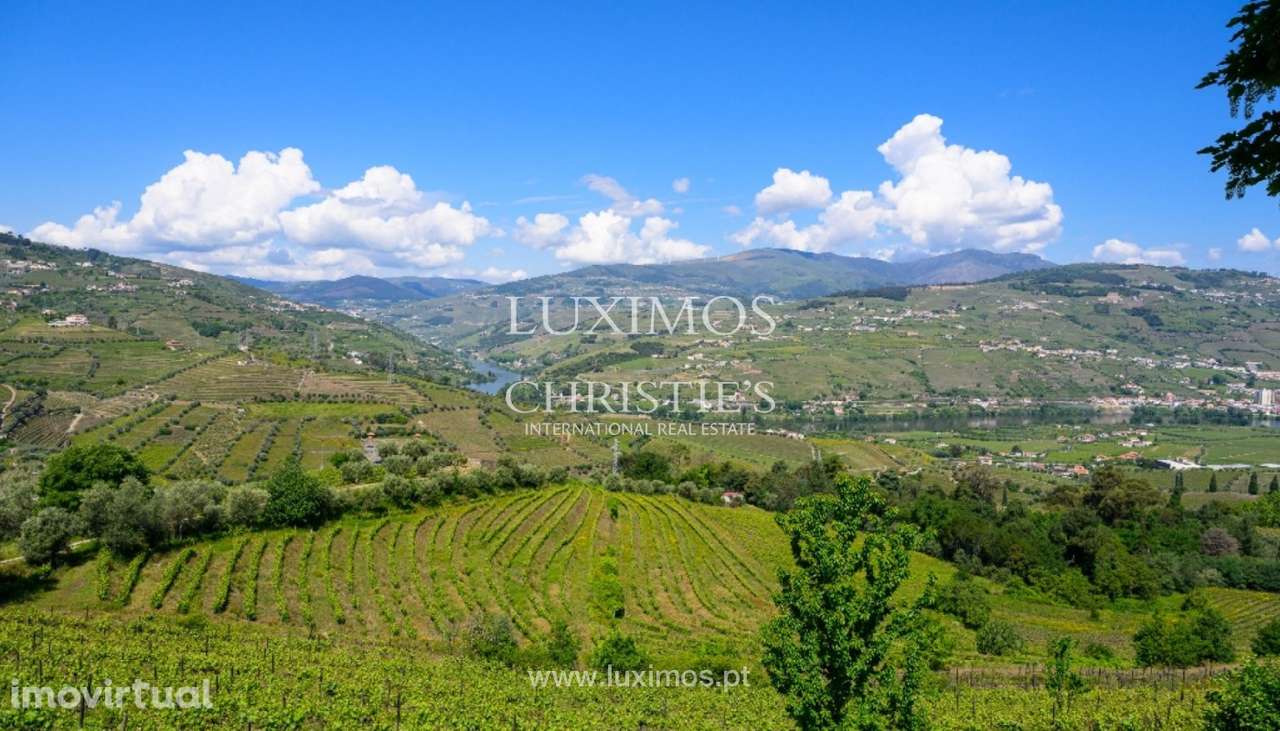 Quinta Vinícola à venda no Douro Valley em Cambres, Lamego, Portugal - Grande imagem: 2/35