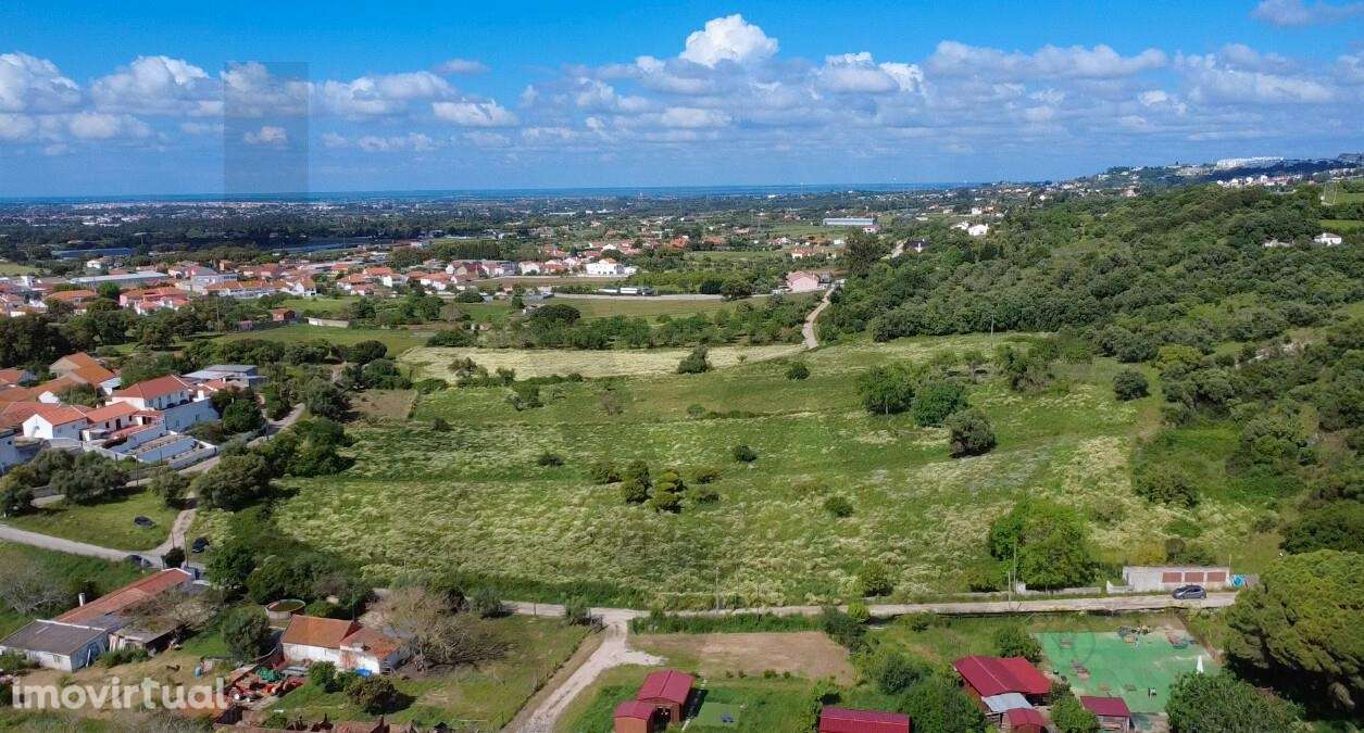 Quinta em Quinta do Anjo - Palmela - Grande imagem: 5/15