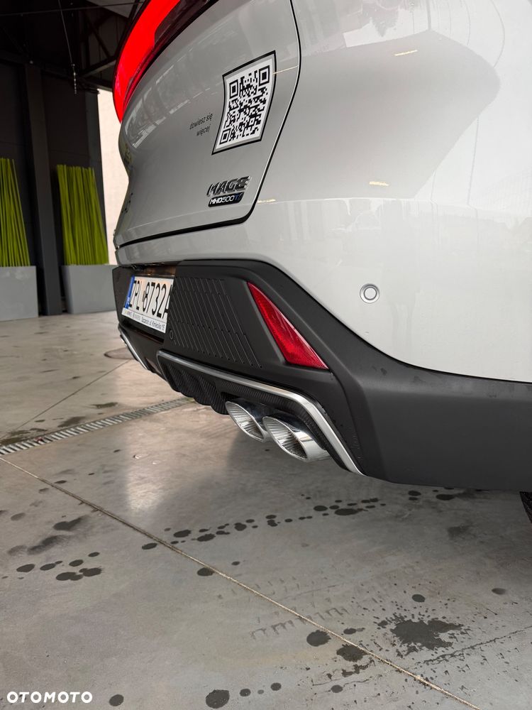 Dongfeng Mage - 17