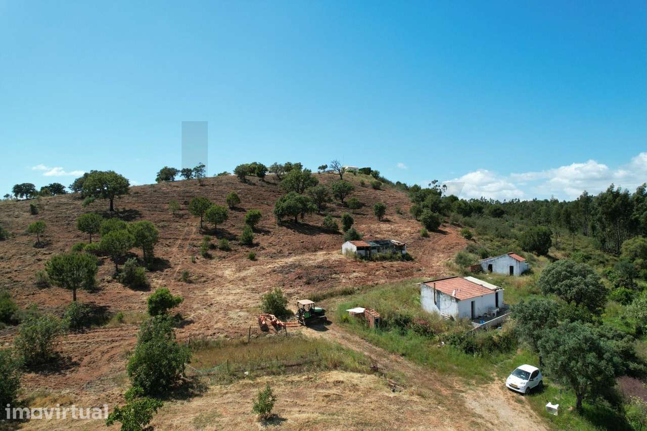 Quinta com casa e arrecadações com 23000m2 e dois poços na Senhora do - Grande imagem: 4/40