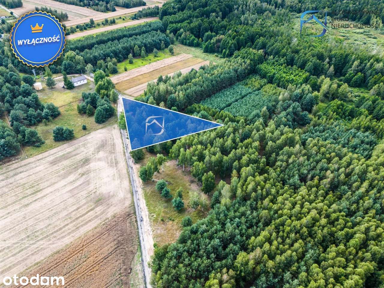 Grunt z potencjałem - 2504m2 - Serniki Kolonia - Pełny obrazek: 2/15
