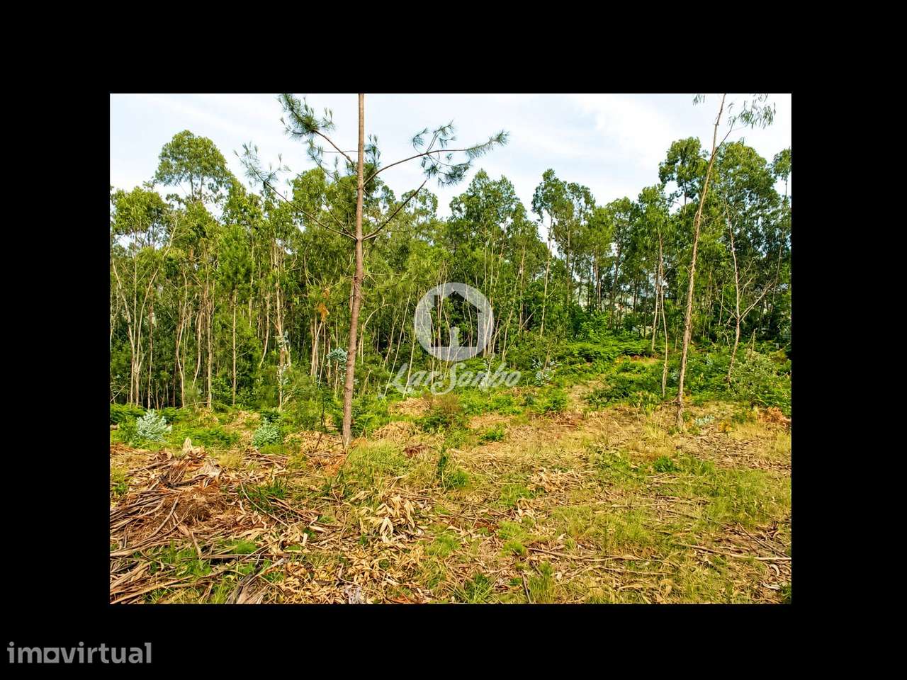 Terreno em Barcelos - Grande imagem: 3/22