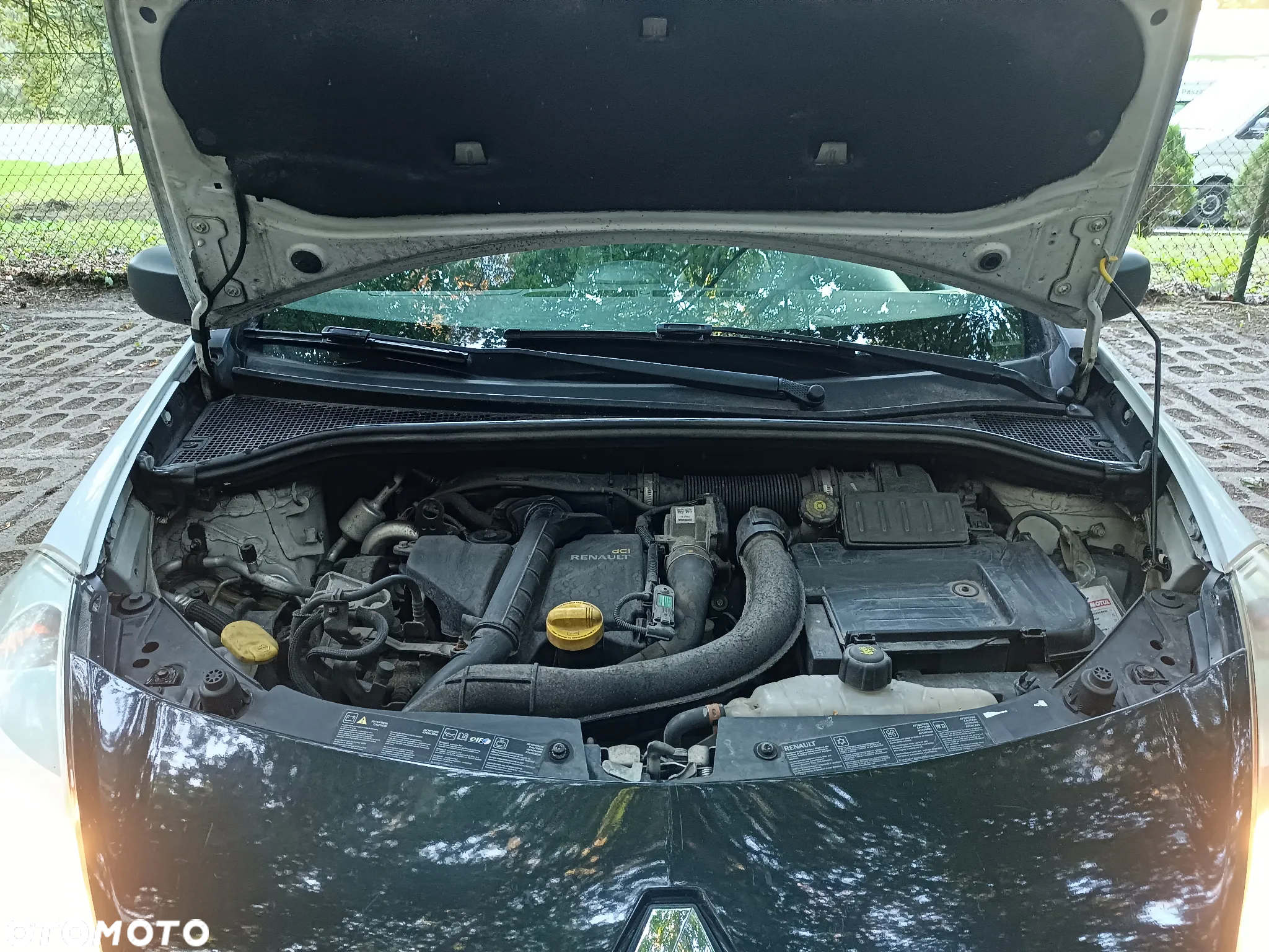 Renault Clio - 19
