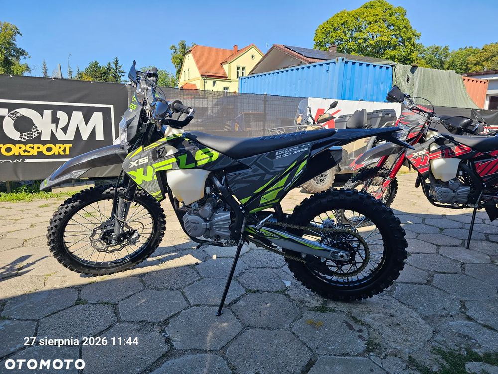 Diabolini Inny - 1