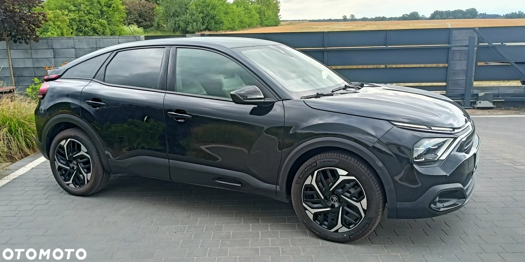Citroën C4 1.2 PureTech Shine S&S - 19