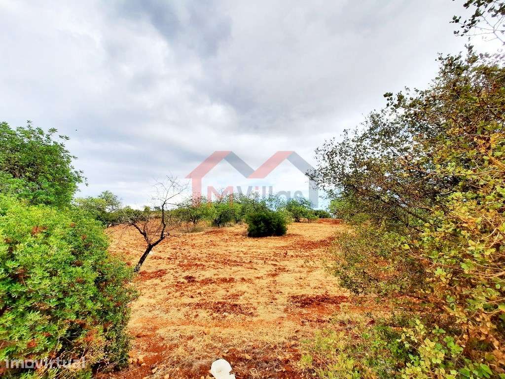 Terreno para construção - Almancil - Grande imagem: 2/4