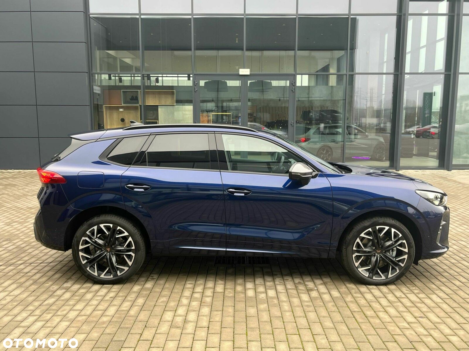 Cupra Terramar - 7