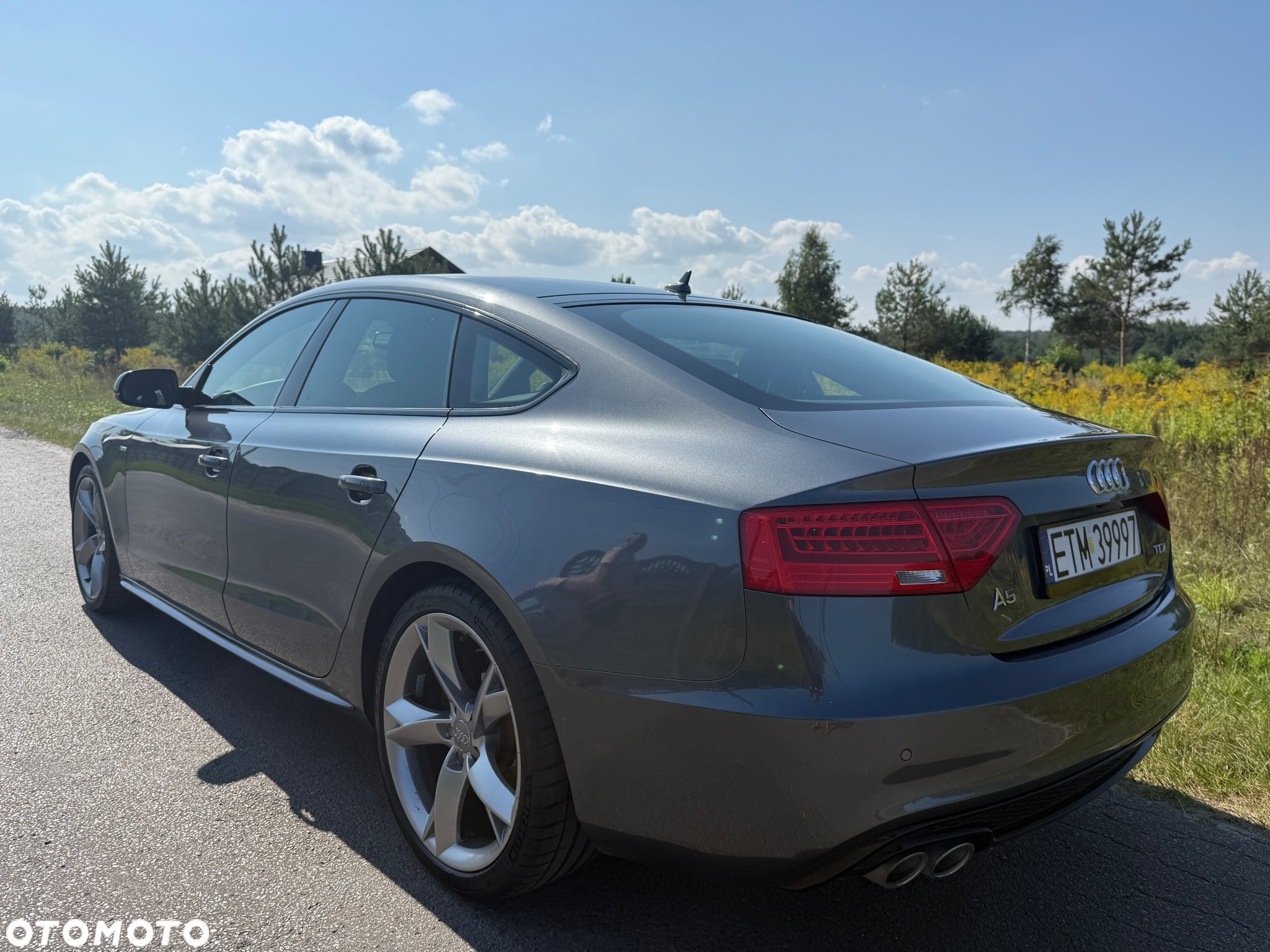 Audi A5 Sportback 2.0 TDI (clean diesel) DPF multitronic - 13