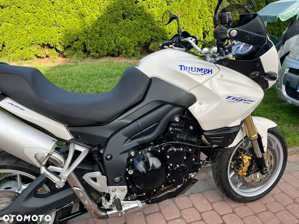 Triumph Tiger - 13