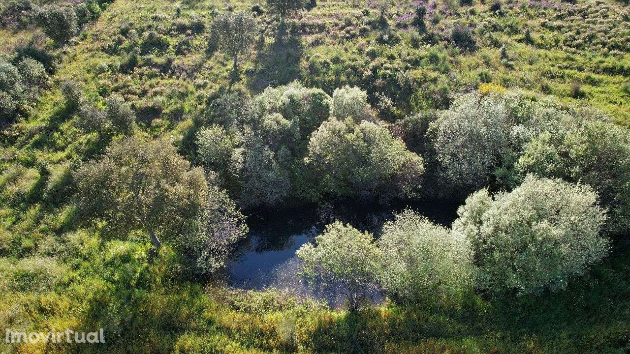 Terreno - Grande imagem: 4/6