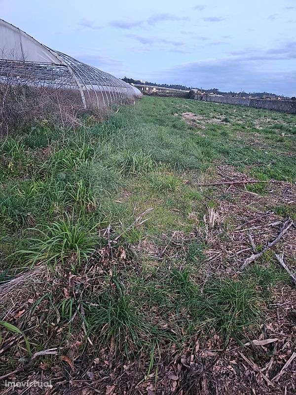 Terreno  para venda - Grande imagem: 3/3