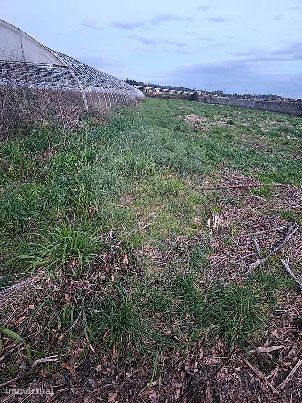 Terreno  para venda - Grande imagem: 3/3