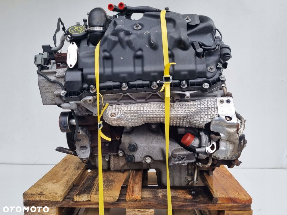 SILNIK BEZ OSPRZĘTU Land Rover Range Rover Vogue III L322 3.6 TDV8 368DT - 6