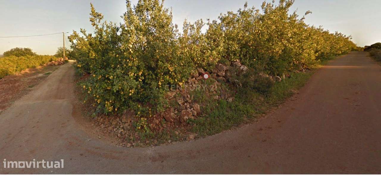 Terreno com 6 hectares e armazém de apoio - Grande imagem: 2/3