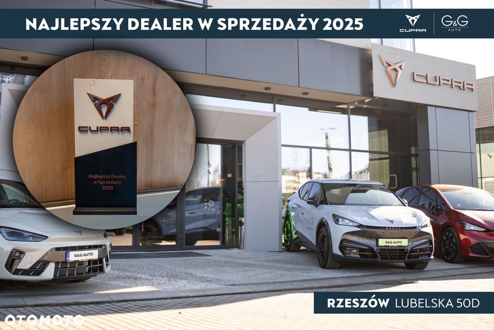 Cupra Terramar 2.0 TSI 4Drive DSG - 12