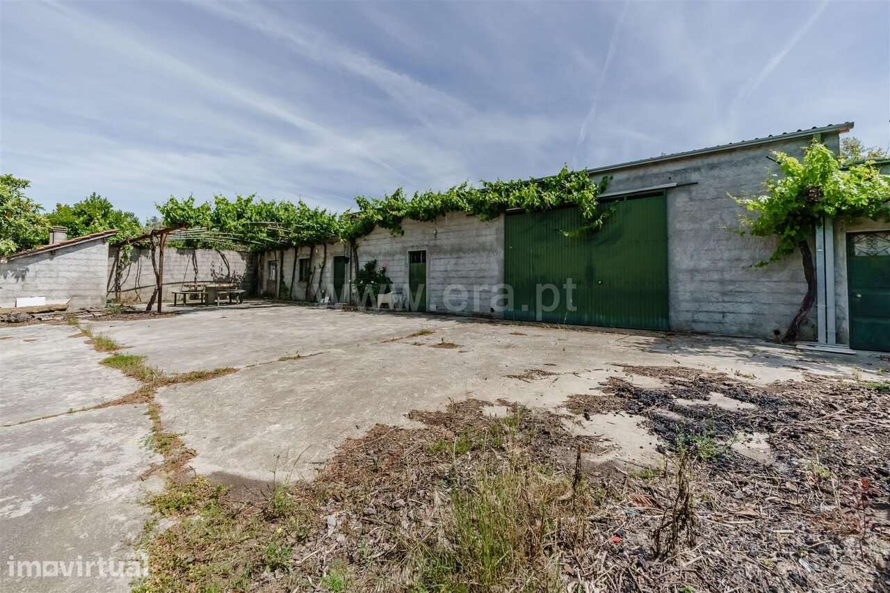 Quinta T1 / Fundão, Salgueiro - Grande imagem: 5/20
