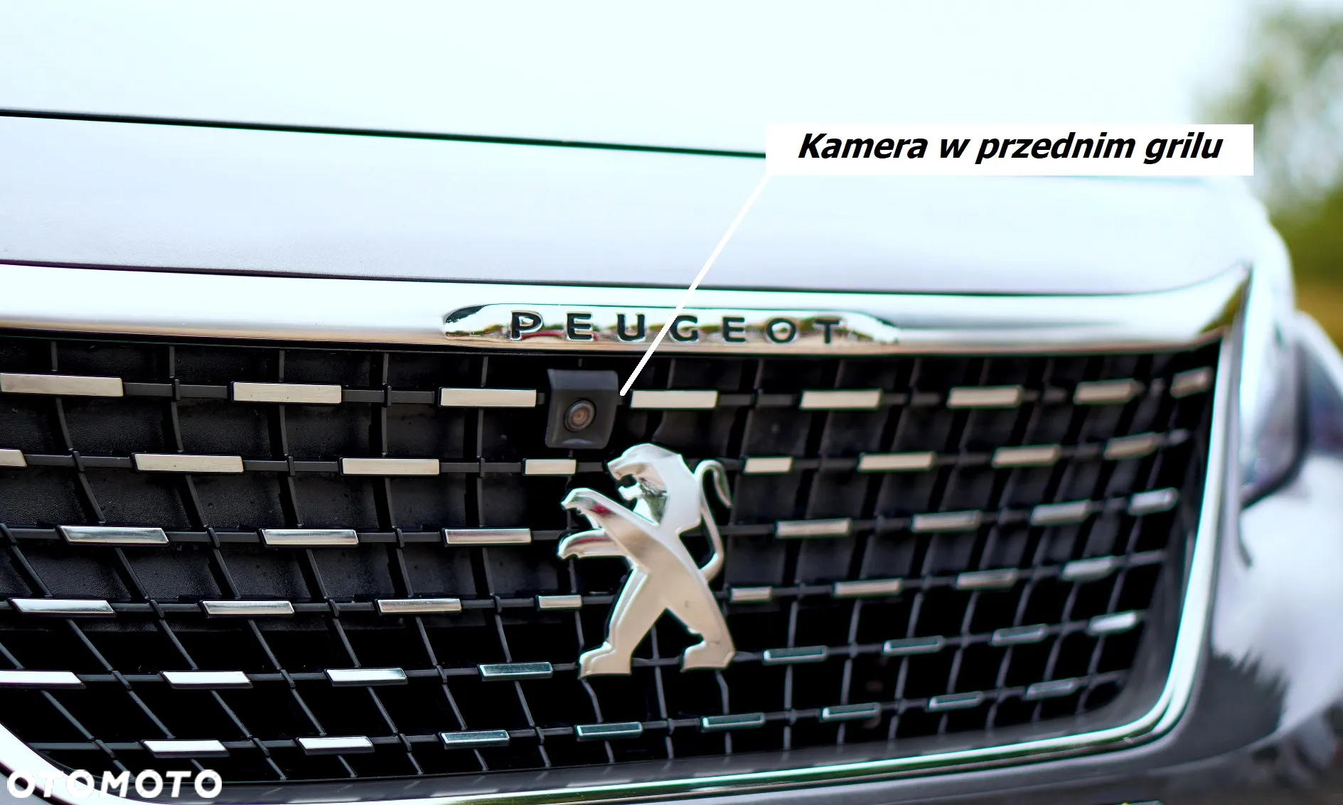 Peugeot 5008 1.6 PureTech GT Line S&S EAT8 - 14