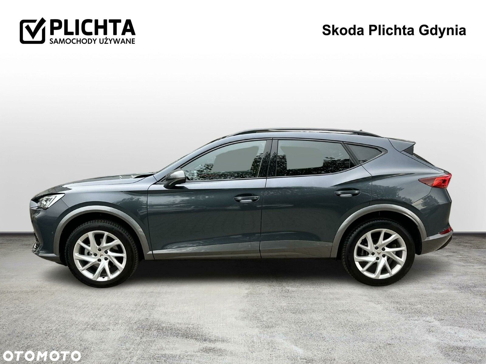 Cupra Formentor 2.0 TSI 4Drive DSG - 2