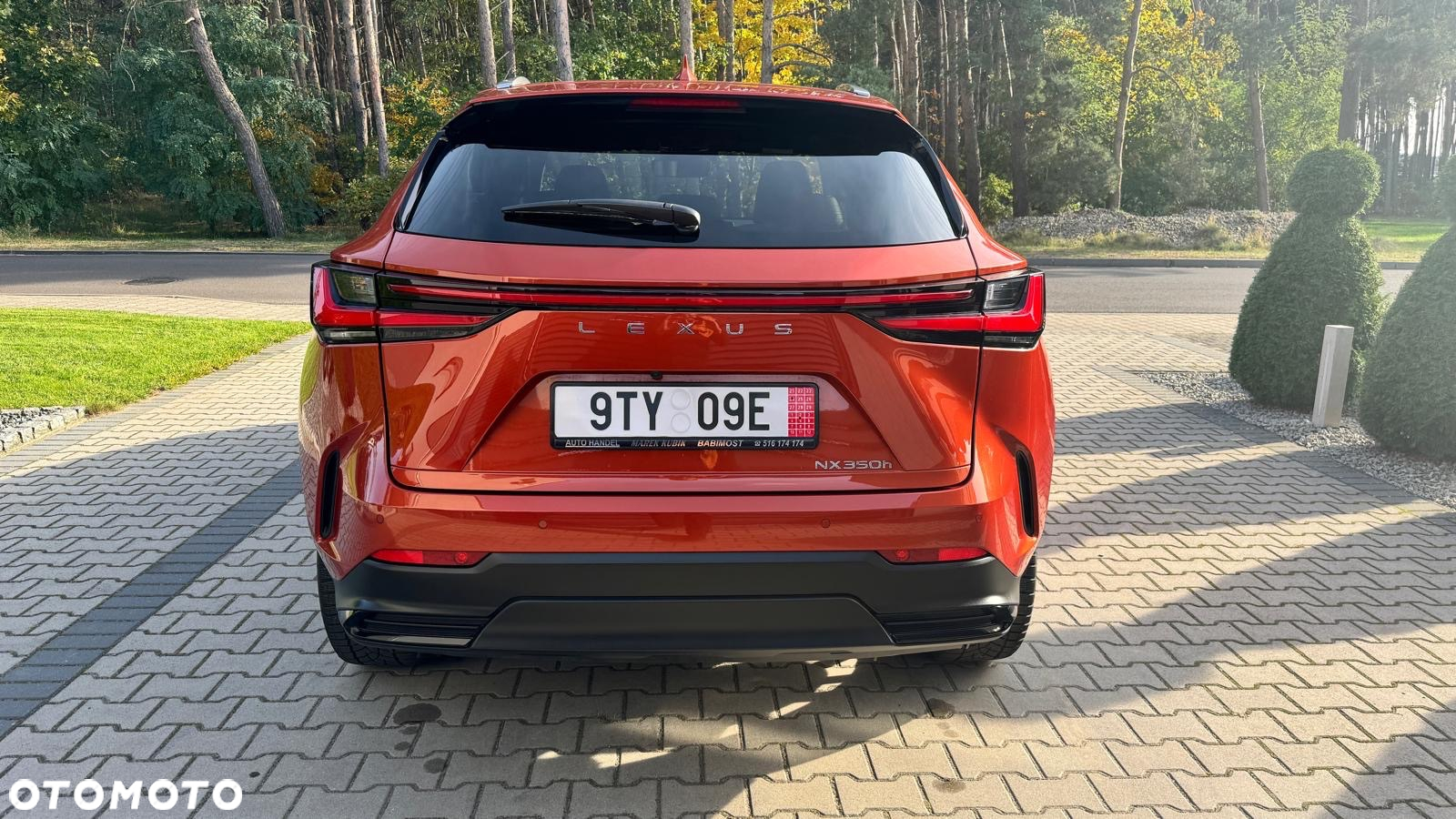 Lexus NX - 9