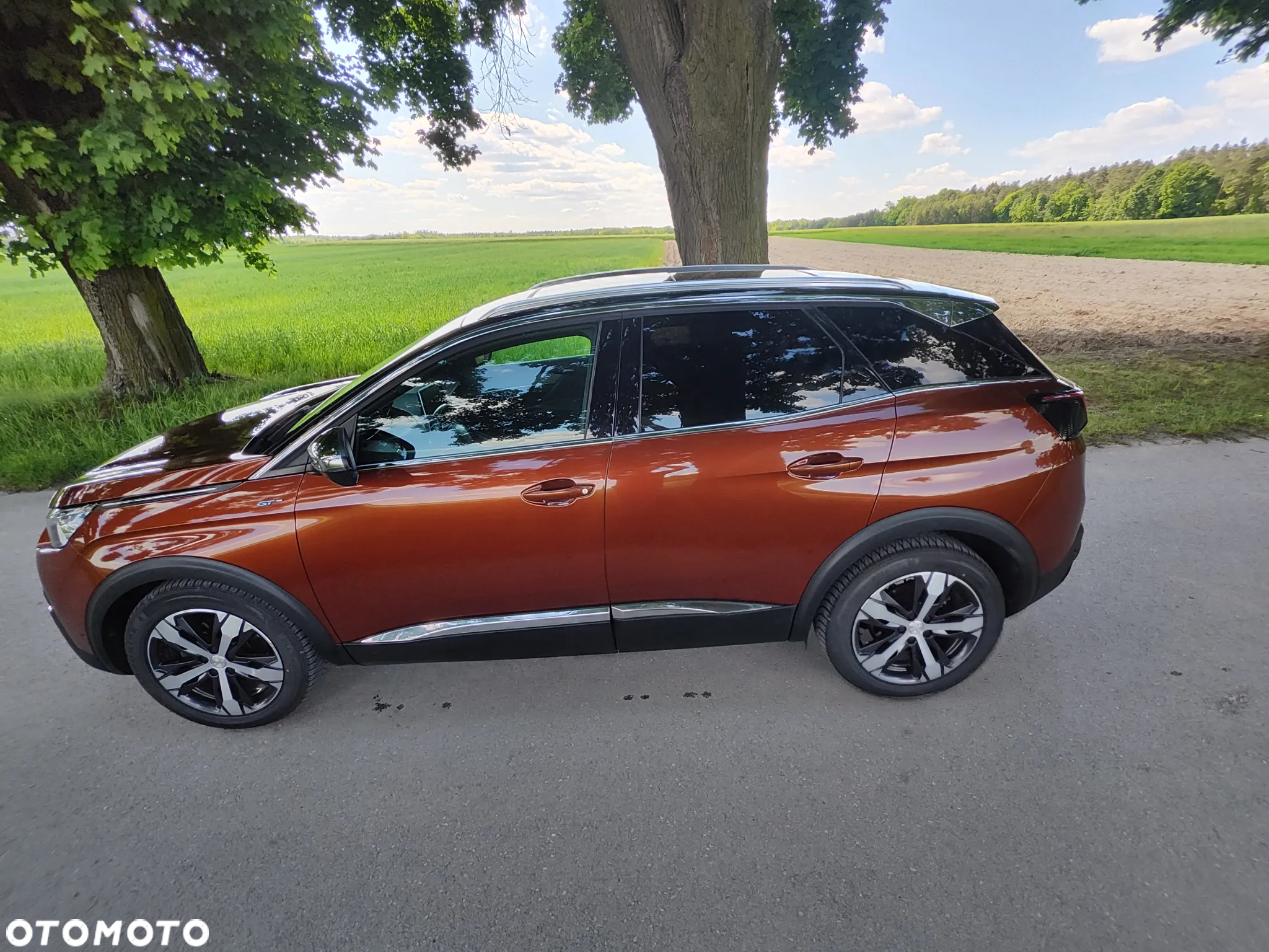 Peugeot 3008 2.0 BlueHDi GT S&S EAT8 - 25