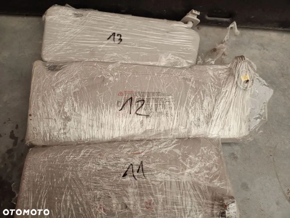 SŁONECZNIKI  RENAULT - 7