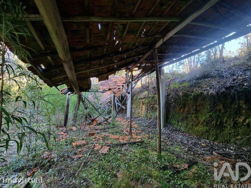 Terreno Agrícola em Mortágua, Vale de Remígio, Cortegaça e Almaça - Grande imagem: 4/7