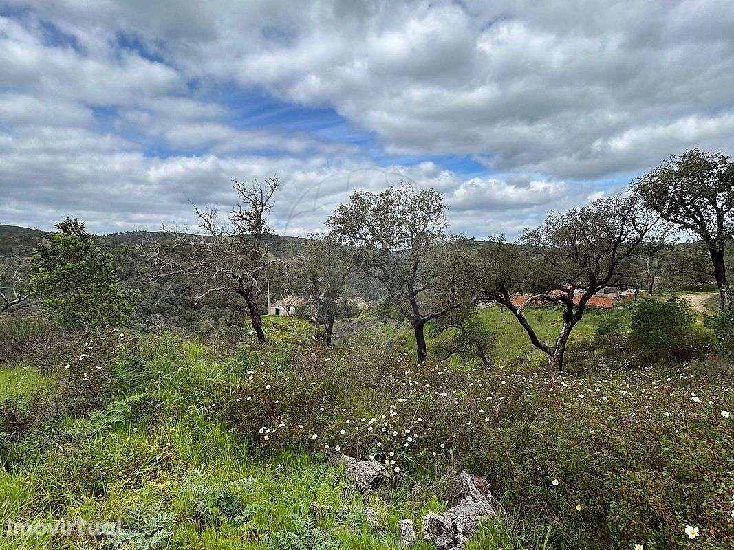 Terreno  para venda - Grande imagem: 4/16