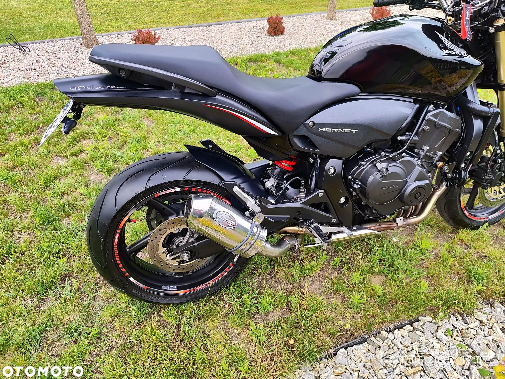 Honda Hornet - 8