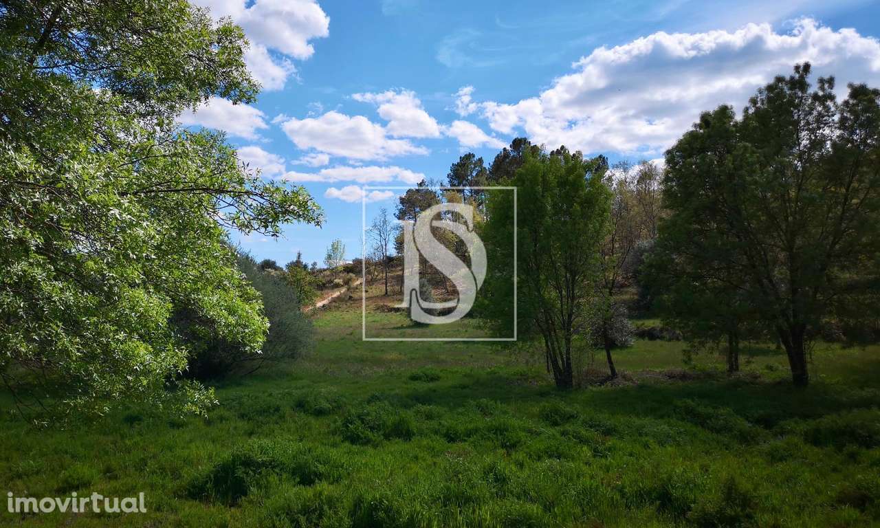 Terreno  Venda em Maçainhas,Belmonte - Grande imagem: 2/12