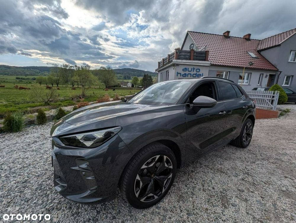 Cupra Terramar - 1