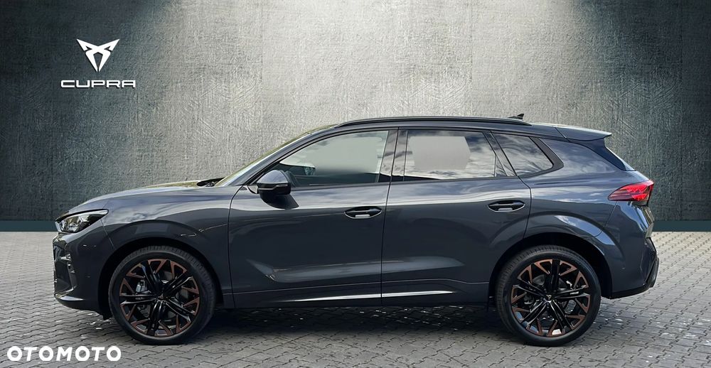 Cupra Terramar - 3