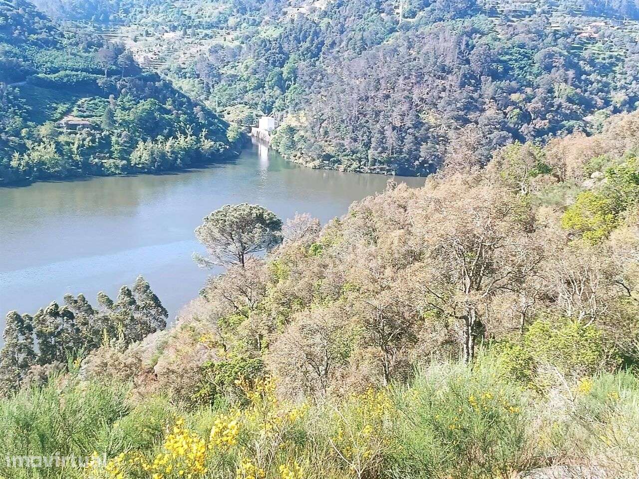 Terreno / Baião, Ancede e Ribadouro - Grande imagem: 5/11