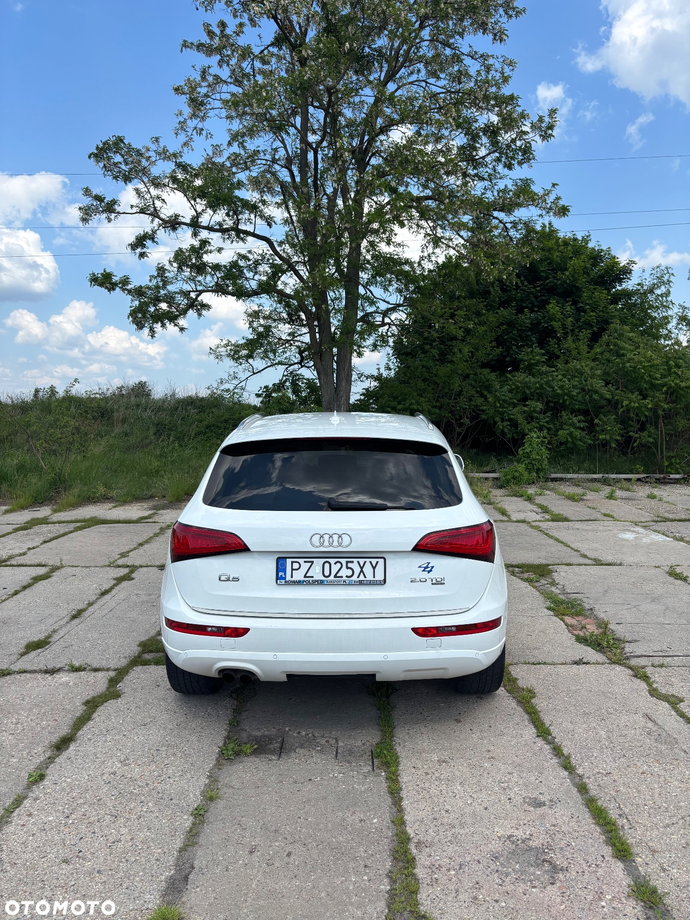 Audi Q5 2.0 TDI Quattro - 6