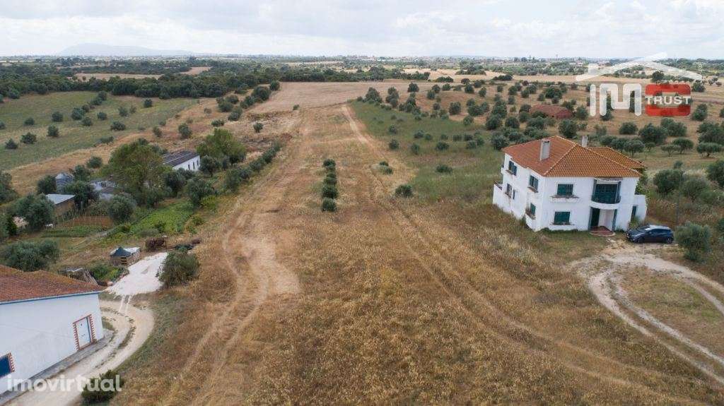Terreno Rústico - Almoster - Oportunidade - Grande imagem: 2/3