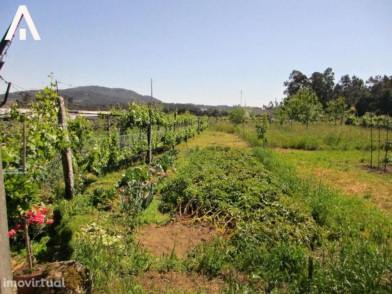 Terreno construção em V.F.S. Pedro - Grande imagem: 3/6