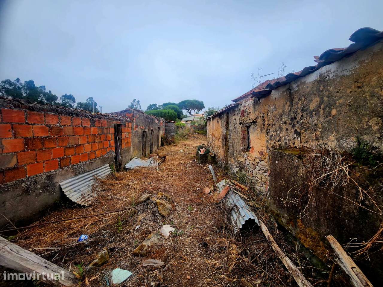 Moradia - Grande imagem: 4/17
