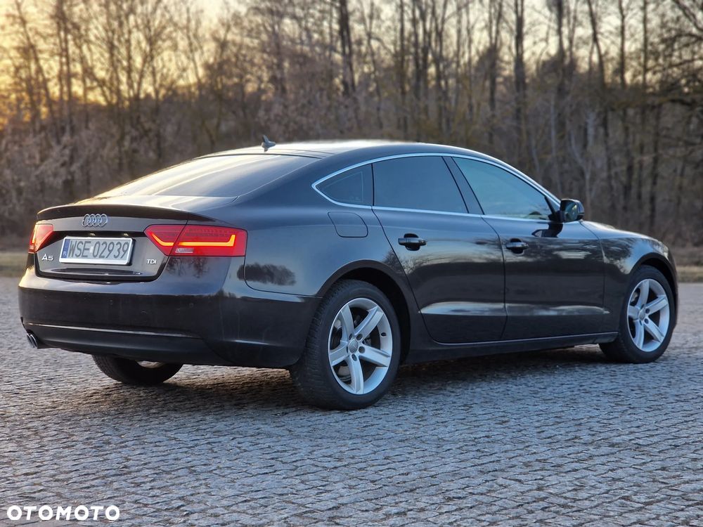 Audi A5 Sportback 2.0 TDI (clean diesel) DPF multitronic - 7