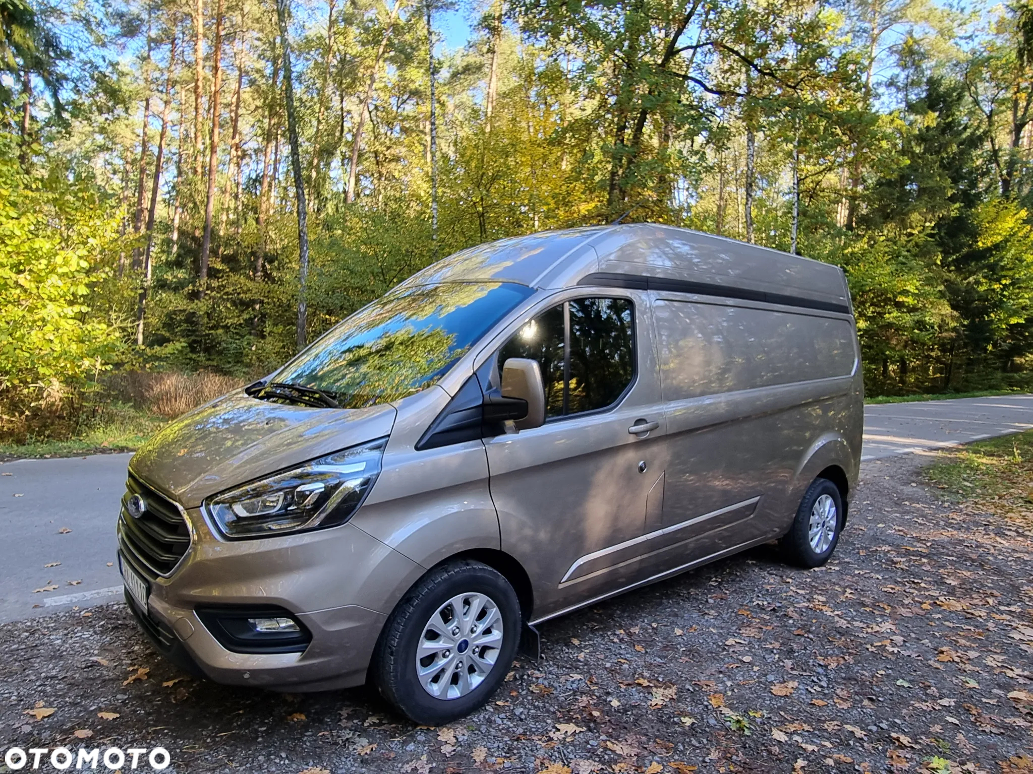 Ford Custom - 11