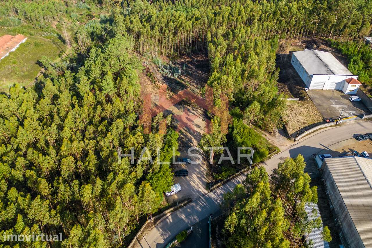 Terreno Industrial / Área Total 3.610m2 / Índice de 0.7 / Boa Vista - Grande imagem: 3/32