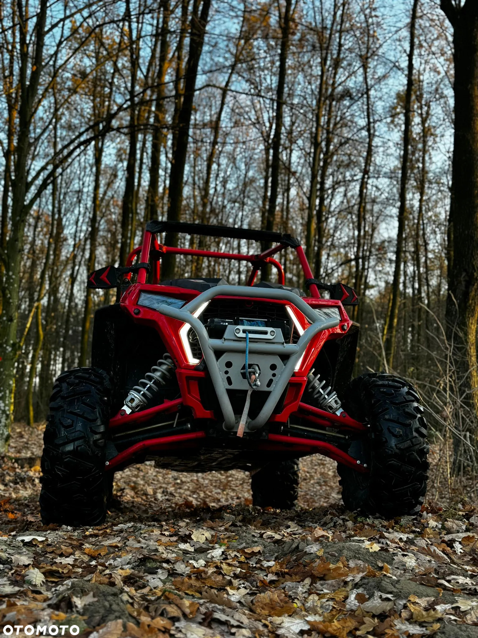 Polaris RZR - 10