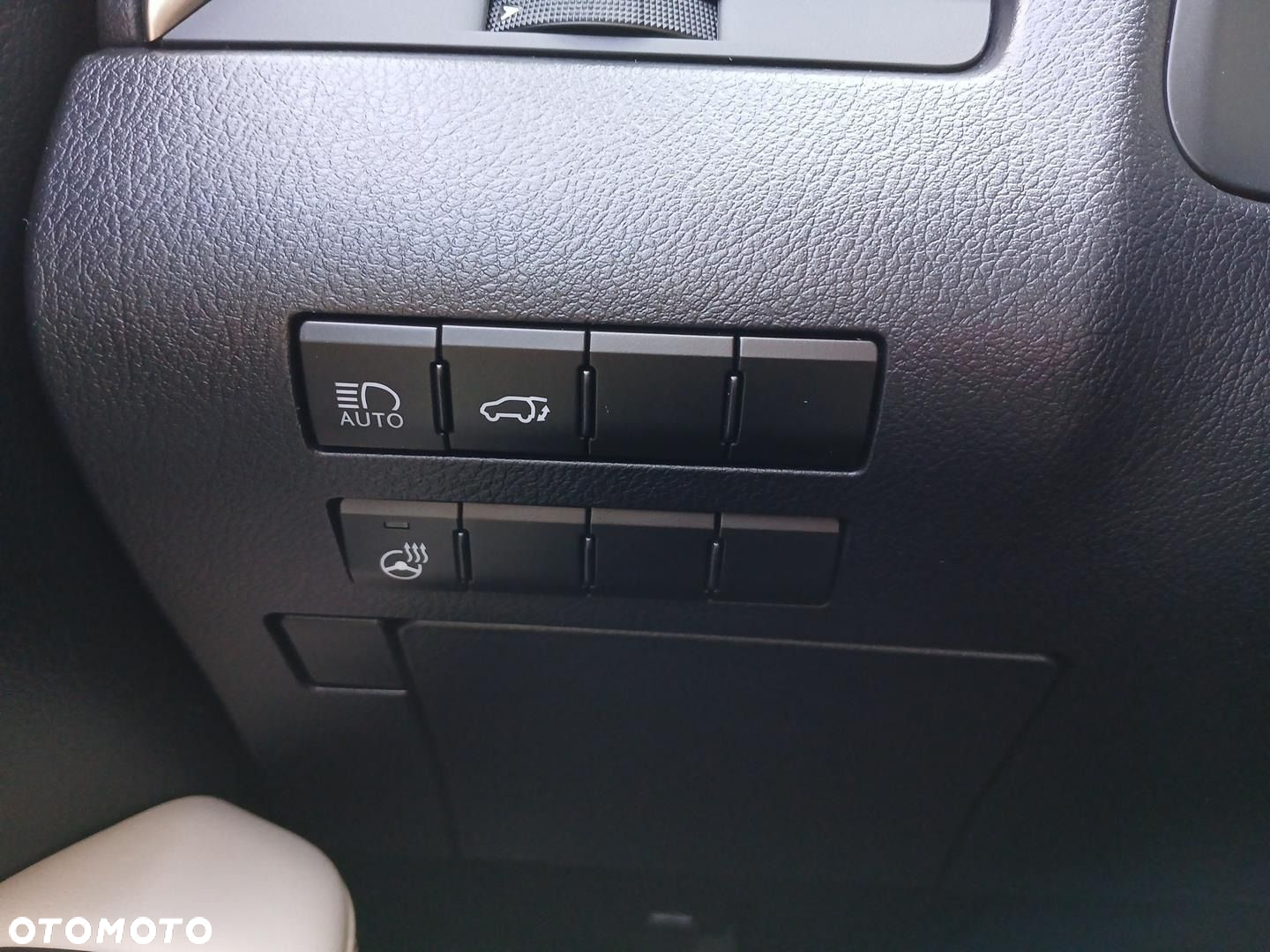 Lexus RX - 21