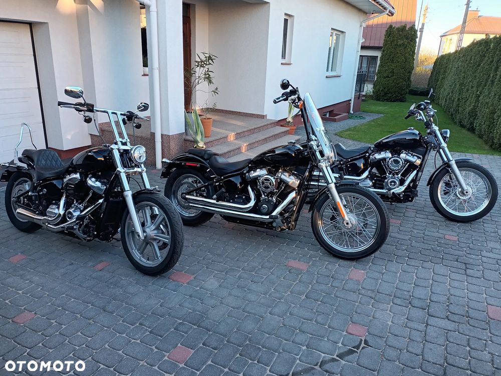 Harley-Davidson Softail Standard - 17