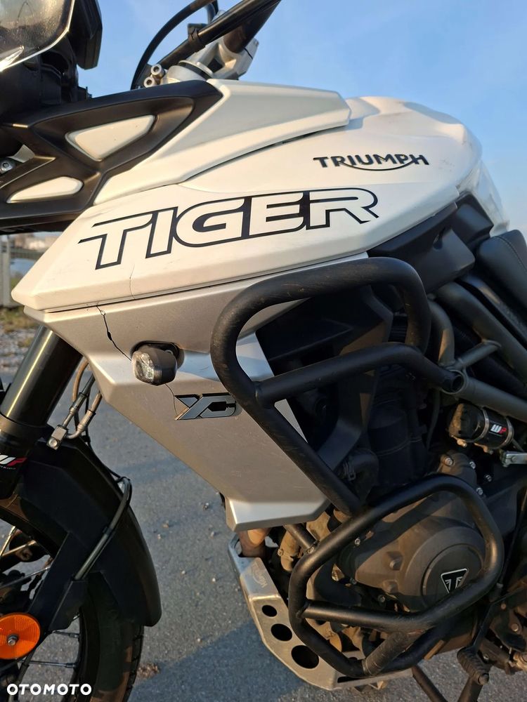 Triumph Tiger - 3