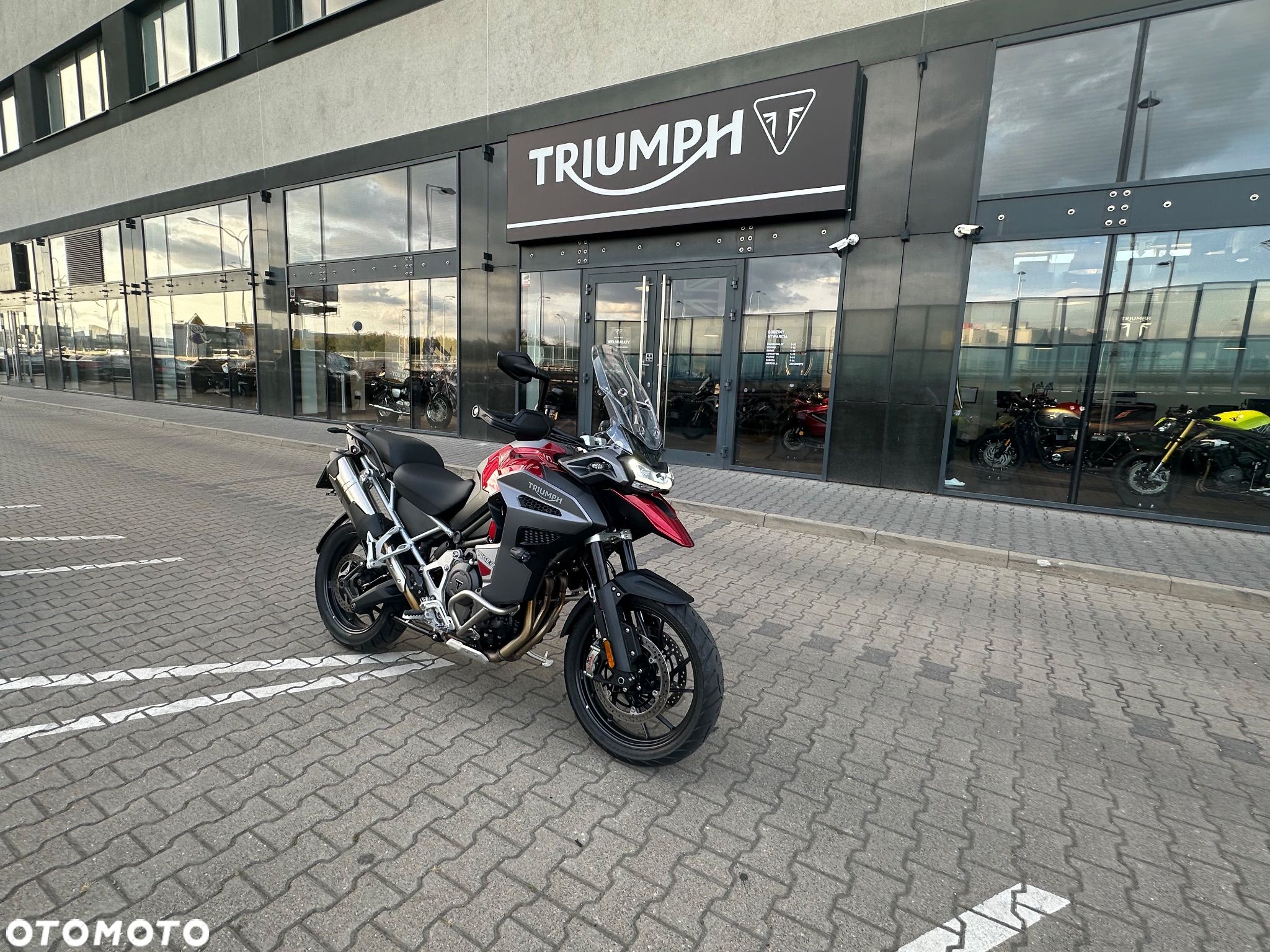 Triumph Tiger - 1