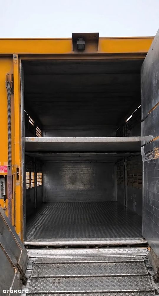 Volvo FM 260 4x2 KABA | 2 poziomy | transport zwierząt | pełne aluminium - 6